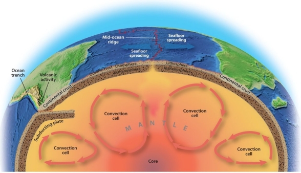 Explain the relationship between plate tectonics and the location of seismic activity around the world.       