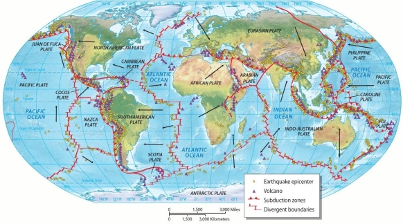 Explain the relationship between plate tectonics and the location of seismic activity around the world.       
