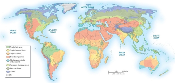 Discuss how latitude influences the pattern of bioregions on Earth.   