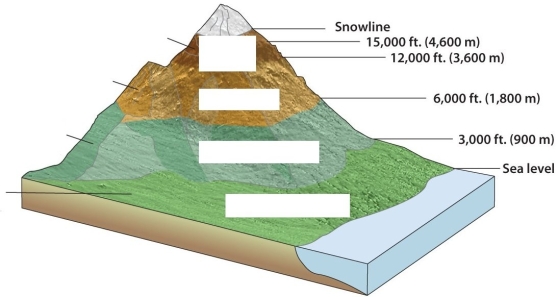 Label the  altitudinal zonation  and discuss how the environmental lapse rate affects the economic activities that can be pursued at different elevations.   