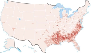Figure 7.2.2     -This map displays the distribution of what ethnicity in the United States? A)  Hispanic B)  African American C)  Asian American D)  American Indian E)  European