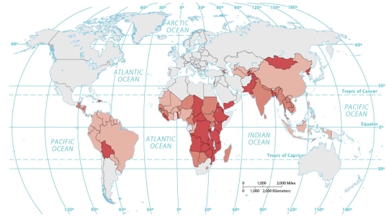 Figure 10.3.4   -If darker shades represent higher values,this is most likely a map of A)  dietary energy consumption. B)  percent of income spent on food. C)  percent undernourished. D)  change in number undernourished. E)  per capita fish consumption.