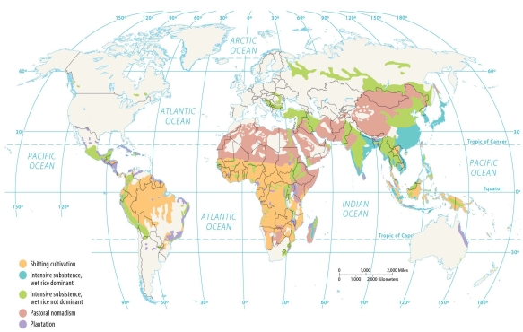 Figure 10.4.1   -The largest use of land near the Equator is A)  intensive subsistence, wet rice dominant agriculture. B)  intensive subsistence, wet rice not dominant agriculture. C)  pastoral nomadism. D)  plantation agriculture. E)  shifting cultivation.