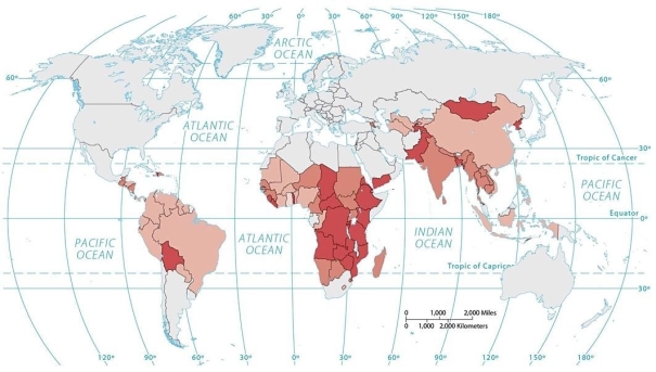 Figure 10.3.4   -If darker shades represent higher values,this is most likely a map of A)  dietary energy consumption. B)  percent of income spent on food. C)  percent undernourished. D)  change in number undernourished. E)  per capita fish consumption.