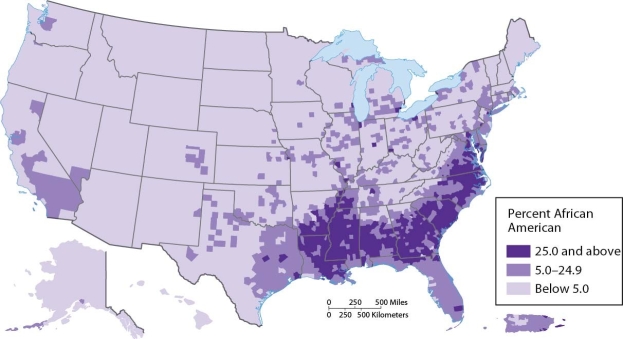   -By interpreting this map, we surmise that in the African American population A)  in Illinois, nearly all are distributed in the southern part of the state. B)  in Florida, there is more of a concentration in the western part of the state. C)  in California, there is more of a concentration in the northern part of the state. D)  in Arkansas, there is more of a concentration in the southern part of the state. E)  in Nevada, there are roughly equal concentrations in the northern and southern parts of the state.