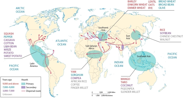   -The map of crop hearths indicates that A)  maize, potatoes, squash, and peppers were first domesticated in the Americas. B)  specific crops can be grown only in and near their crop hearths. C)  potatoes, peppers, and sorghum were first domesticated in Europe. D)  coconuts, pigeonpeas, maize, and tomatoes were first domesticated in Southeast Asia. E)  soybeans, rice, squash, coconuts, and sorghum were first domesticated in East Asia.