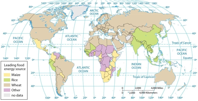   -According to the map of dietary energy by source, rice is the leading energy source in A)  Peru, India, and Ecuador. B)  Pakistan, Iran, and India. C)  Algeria, Sudan, and Ethiopia. D)  Bolivia, Peru, and Brazil. E)  Peru, Brazil, and Mexico.