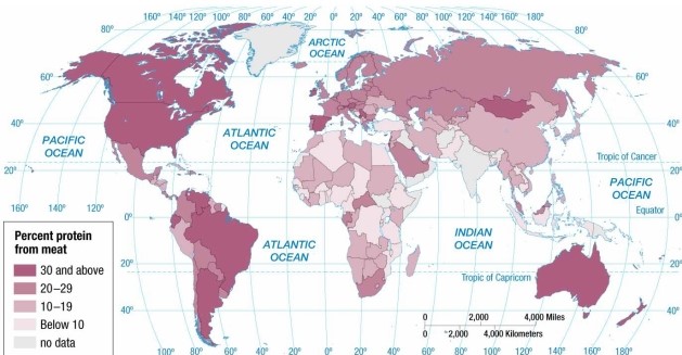   -According to the map of protein from meat, meats provide at least 25 percent of the protein consumed in A)  Brazil, Argentina, and Spain. B)  Ethiopia, Iran, and India. C)  Argentina, Australia, and South Africa. D)  Brazil, Australia, and India. E)  Brazil, Canada, and India.
