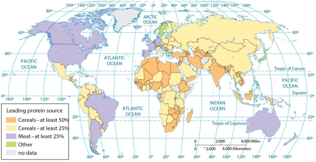   -According to the map of protein sources, cereals provide at least 50 percent of the protein consumed in A)  Ethiopia and India. B)  Ethiopia and Brazil. C)  Egypt and Australia. D)  Brazil and Egypt. E)  Mexico and Argentina.