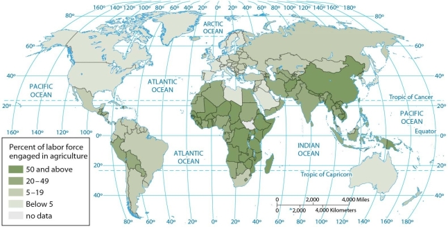   -According to the map of agricultural workers, from 20 to 49 percent of the labor force is engaged in agriculture in A)  Pakistan, Iran, and Algeria. B)  Pakistan, Afghanistan, and India. C)  Algeria, Sudan, and Ethiopia. D)  Bolivia, Peru, and Brazil. E)  Mexico, Canada, and Brazil.