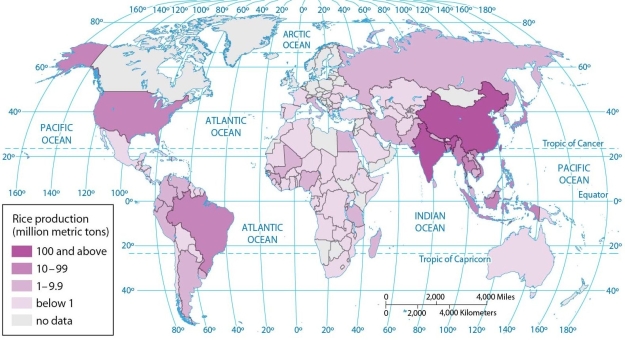   -According to the map of world rice production, between 10 and 99 million metric tons of rice are produced annually in A)  Brazil, Thailand, and the United States. B)  China and India. C)  Iran, Iraq, and Afghanistan. D)  Brazil, Thailand, India, Japan, and China. E)  the United States, China, and India.