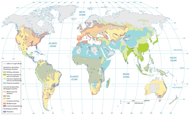   -Judging from the map of agricultural regions, which type of agriculture occupies the largest percentage of eastern India? A)  mixed crop and livestock B)  intensive subsistence C)  shifting cultivation D)  pastoral nomadism E)  plantation