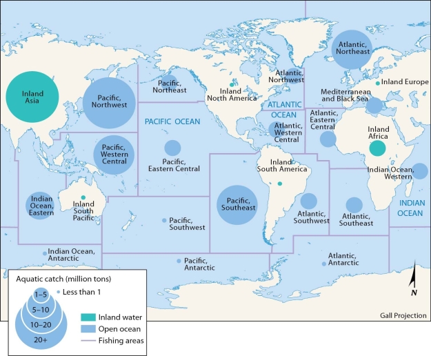   -According to the map of major world fishing regions, the northwestern Pacific Ocean annually contributes A)  more than 20 million tons of aquatic catch. B)  10 to 20 million tons of aquatic catch. C)  5 to 10 million tons of aquatic catch. D)  1 to 5 million tons of aquatic catch. E)  less than 1 million tons of aquatic catch.