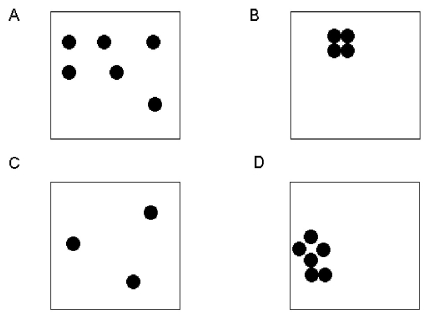   -In this figure, which two boxes have the highest concentration of dots? A)  A, C B)  B, D C)  A, B D)  C, D E)  All of these boxes have the same concentration of dots.