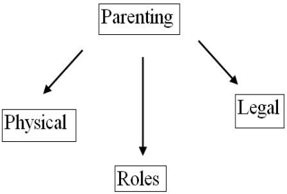 The following exemplifies:​ ​   A)  ​memoing. B)  ​concept mapping. C)  ​grounded theory. D)  ​semiotic. E)  ​coding.
