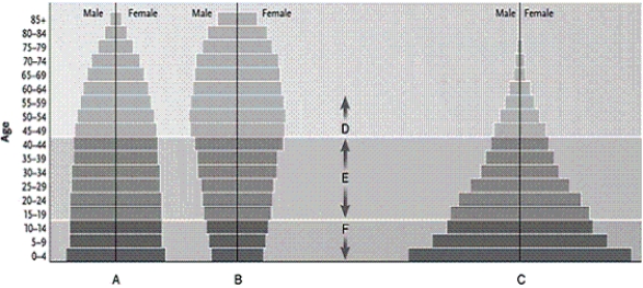 Use the list of terms to identify each lettered part of the illustration.   -prereproductive