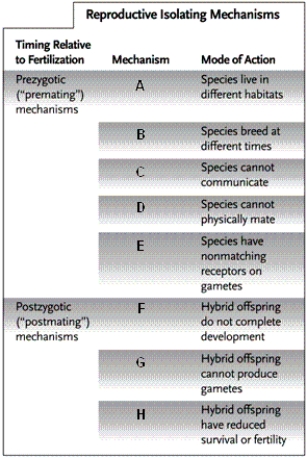 Labelling Assign the following terms appropriately to the accompanying table by labelling with the appropriate letter.   -ecological isolation