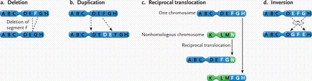   -In the figure, what type of change in the chromosomes is depicted? A) a deletion B) a reciprocal translocation C) an inversion D) a duplication
