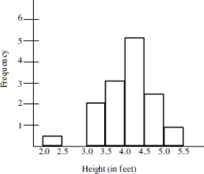 The histogram below is the distribution of heights for a randomly selected Boy Scout troupe. Choose the statement that is true based on information from the histogram.   A) The smallest value is so extreme that it is possible that a mistake was made in recording the data. B) The gap between the two smallest values indicates an outlier may be present. C) Although the smallest value does not fit the pattern, it should not be altogether disregarded. It is possible that the Boy Scout is 2.4 feet tall. D) All of these are true statements. 
