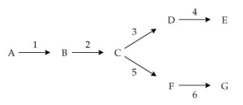 Use the following to answer questions: In the diagram below, reactants and products are designated by capital letters; enzymes are designated by numbers.   -If enzyme 2 is inactive, which of the following products would be produced from the metabolic pathway? A)  C B)  D C)  F D)  B E)  G