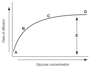 Use the following to answer questions : The graph below shows the relationship between glucose concentration outside a cell and the rate of glucose diffusion across a cell membrane that has carrier proteins to facilitate diffusion.   -According to the graph, as the number of glucose molecules increases, the rate of diffusion A)  increases indefinitely. B)  decreases. C)  increases until a plateau is reached. D)  can either increase or decrease. E)  remains the same.