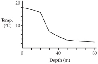 In the following graph, the temperature of a freshwater lake is plotted against its depth. This temperature profile of the graph would be most characteristic of the lake during the   A)  winter. B)  spring. C)  summer. D)  fall. E)  Both b and c