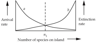 Refer to the graph below showing the effect of species number on arrival and extinction rates. According to the theory of island biogeography, which of the following statements about the graph is true?   A)  Curve a is the arrival rate curve. B)  Curve b is the extinction rate curve. C)  The arrival rate equals the extinction rate at n<sub>1</sub>. D)  The extinction rate is zero at n<sub>1</sub>. E)  Both a and b