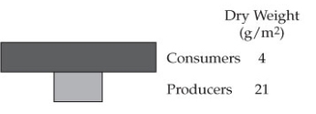 Where do biomass pyramids like the one shown below occur, and what are the conditions that create them?  