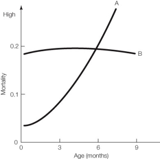 Use the following to answer questions : Refer to the graph below, showing the mortality rate of two species of mammals over the course of 9 months.   -Based on the mortality graph, which type of survivorship curve does species B have? A)  Ecological B)  Genetic C)  Maturational D)  Physiological E)  Logistic