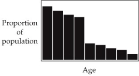 Refer to the graph of age distributions below. For a population that is stable in size, the age distribution of the graph would indicate   A)  high birth and death rates. B)  low birth and death rates. C)  a low birth rate but a high death rate. D)  a high birth rate but a low death rate. E)  Either a or d