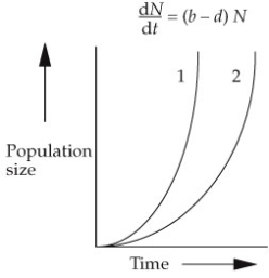 Use the following to answer questions: Refer to the graph below.   -The intrinsic rates of increase (r) of species A = 0.25 and of species B = 0.50. According to the graph, the population growth curve for A should be more like curve _______.