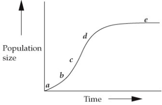 Use the following to answer questions : Refer to the graph below.   -At which point in the graph would there be zero population growth (dN/dt = 0)?