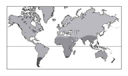 On the map below, label the Ethiopian biogeographic region, Palearctic biogeographic region, and Wallace's line.  