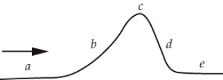 In what area of the diagram below is a process occurring that is similar to the process that occurs in the region surrounding the equator?  