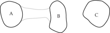 The following diagram shows three islands. Islands A and B were connected in the past, C was always separate. A species of land snail is found on all three islands. Which of the following does not correctly describe the distribution of this snail relative to the three islands?   A)  Vicariant distribution relative to A and B B)  Dispersal distribution relative to A and C C)  Dispersal distribution relative to B and C D)  Vicariant distribution relative to A and C E)  All of the above are correct.