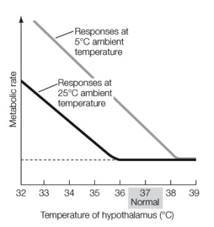 In the experiment graphed below, researchers heated and cooled the hypothalamus of a mammal and determined the metabolic rates at different environmental (ambient)  temperatures. Based on this experiment, which of the following statements is true?   A)  The basal metabolic rate is higher at 5°C. B)  The basal metabolic rate is higher at 25°C. C)  The lower critical temperature is higher at 5°C. D)  The hypothalamic set point is increased by exposure to an ambient temperature of 25°C. E)  Both c and d
