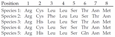 The table below shows the amino acid sequences for an eight-residue section of a small protein for five different species (1-5).   Complete the following similarity matrix using these sequences:   Which species differ from Species 1 because of an amino acid insertion? Which species differ from Species 1 because of amino acid substitutions?