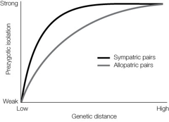 Drosophila species that have been crossed with each other allow evolutionary biologists to make general inferences about their evolution. The diagram below shows the relationship between prezygotic reproductive isolation and genetic distance for both allopatric and sympatric pairs. What is the likely explanation for the patterns observed?  