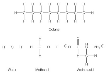 Which of the following are most likely to be miscible (soluble in each other) ?   A)  Octane and water B)  Water and methanol C)  Amino acid and octane D)  Water and octane E)  Amino acid and water