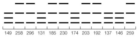Refer to the diagram below showing the RFLP patterns at a hypothetical locus in a family wherein some individuals develop high cholesterol. Immediately below the RFLP patterns are the cholesterol levels of each corresponding individual. What inferences can we draw from these results?  