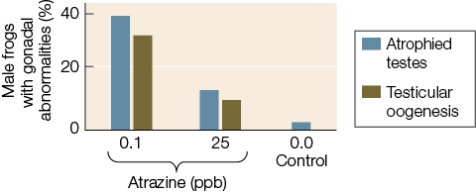 Refer to the graph below showing the results of a study that exposed male frogs to atrazine, a chemical used in killing weeds in agricultural areas.   According to the data in the graph, higher atrazine concentrations do not result in a higher rate of gonadal abnormality.Which conclusion can be drawn from these results? A)  Low levels of atrazine are not as dangerous to amphibians as high levels of atrazine. B)  A dosage of 15 ppb would cause a rate of abnormality between the one caused by the 0.1 ppb dosage and the one caused by the 25 ppb dosage. C)  The effect of the atrazine exposure is not proportional to the level of exposure. D)  Atrazine is only hazardous in a natural ecosystem, where it is naturally diluted in the waterways. E)  Atrazine usage should be banned.