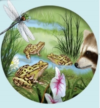Refer to the image below, which shows a group of organisms.   According to the hierarchy of biological systems, what level is represented by this group of organisms? Explain your reasoning.If nonliving components such as soil, oxygen, carbon dioxide, and water are included with these organisms, what level is represented? Explain.