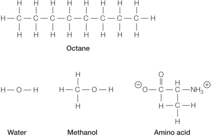 Refer to the figure below showing the chemical structures of several molecules.   Which pair of molecules is most likely to be miscible (each soluble in the other) ? A)  Octane and water B)  Water and methanol C)  Amino acid and octane D)  Methanol and octane E)  Amino acid and methanol