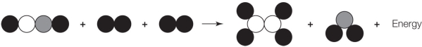 Refer to the figure below.   Which statement about the figure is true? A)  It shows a chemical change because the products differ from the reactants. B)  It shows a chemical change because the three molecules were transformed into two molecules. C)  It shows a chemical change because energy was released as a result of the change. D)  It does not accurately show a chemical change because the numbers of atoms on the two sides of the arrow differ. E)  It does not accurately show a chemical change because energy is shown on the wrong side of the arrow.