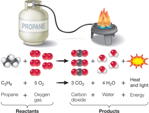 Refer to the figure below.   Explain how this reaction obeys the law of conservation of matter.