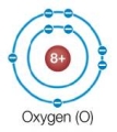 Refer to the figure below.   An oxygen atom by itself is very reactive, whereas an oxygen atom that has combined with two hydrogen atoms to form a water molecule is very stable.What explains this observation? A)  Oxygen starts out with a total of eight electrons and becomes more stable when it adds more electrons. B)  The eight protons in the oxygen nucleus need additional electrons from hydrogen atoms to help neutralize their charge. C)  The two electrons in the innermost shell of an oxygen atom need two additional electrons to balance out. D)  The mass provided by the two hydrogen atoms adds to the mass of the oxygen atom, which increases the stability of the entire structure. E)  An oxygen atom only has six electrons in its valence shell and needs two electrons from hydrogen to fill this shell.