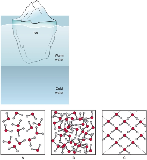 Refer to the figures below.   A student is creating a diagram to illustrate the structure of water in an Arctic lake.The student has identified three zones of the lake to label.How should the smaller images be attached to the larger one? A)  Ice = A, warm water = C, cold water = B B)  Ice = C, warm water = A, cold water = B C)  Ice = B, warm water = A, cold water = C D)  Ice = C, warm water = B, cold water = A E)  Ice = B, warm water = C, cold water = A