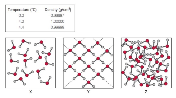 Refer to the table and three diagrams below.   How can the diagrams be used to justify the density measurements of water at the different temperatures given? A)  0.0°C = Z, 4.0°C = Y, 4.4°C = X B)  0.0°C = X, 4.0°C = Y, 4.4°C = Z C)  0.0°C = Y, 4.0°C = Z, 4.4°C = X D)  0.0°C = Z, 4.0°C = X, 4.4°C = Y E)  0.0°C = Y, 4.0°C = X, 4.4°C = Z
