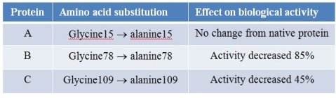 Three different proteins, A, B, and C, from a plant were studied.In each case, a glycine residue was changed to an alanine.Changes in the biological activities of the mutated proteins were then measured, and the results are shown in the table below.   Which statement about structure-function relationships in proteins is supported by the data? A)  Each unique amino acid sequence results in a protein with a unique function. B)  A protein's function changes only when changes in primary structure alter its tertiary structure. C)  Substitution of a nonpolar amino acid for another nonpolar amino acid is sufficient to allow a protein to retain its biological activity. D)  Amino acids located at the beginning of a polypeptide chain have less importance in determining biological function than amino acids in the middle or far end of the chain. E)  Every amino acid substitution in a protein's primary structure leads to a change in the protein's function.