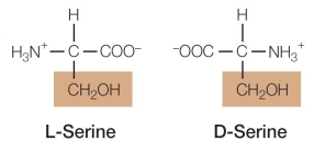 Refer to the figure below.   The molecules in the figure are A)  structural isomers. B)  optical isomers. C)  hydrophobic. D)  monosaccharides. E)  fatty acids.